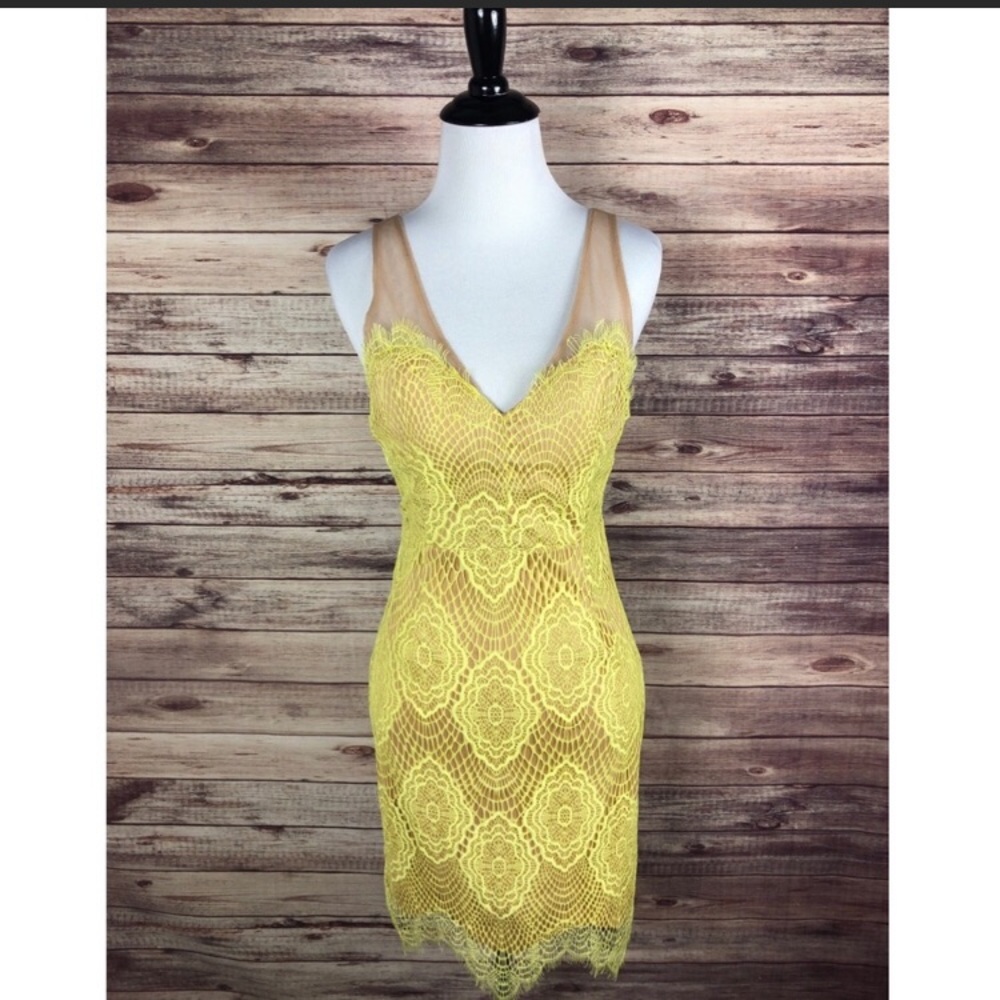 L’atiste By Amy Lime Green Mesh Lace Dress